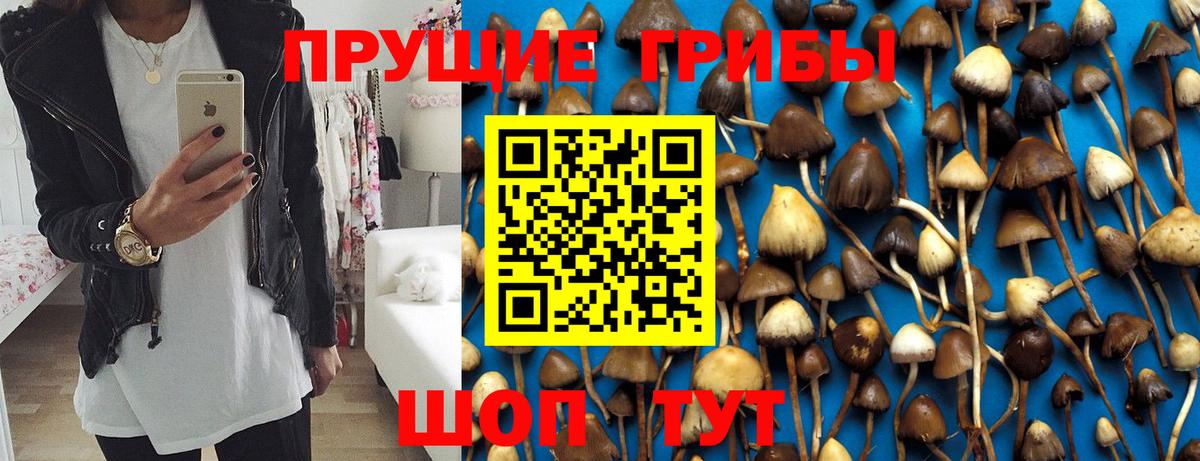 магазин    Галлюциногенные грибы мицелий  Вход с VPN  Самара 